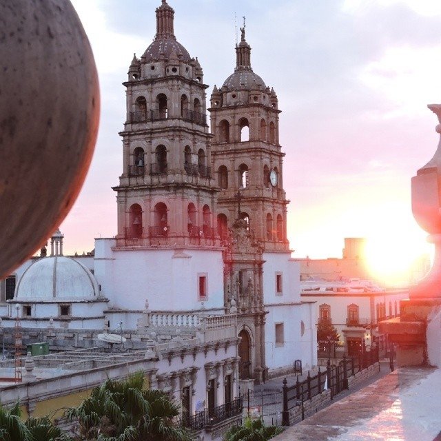 Hotel Roma Durango-酒店景观