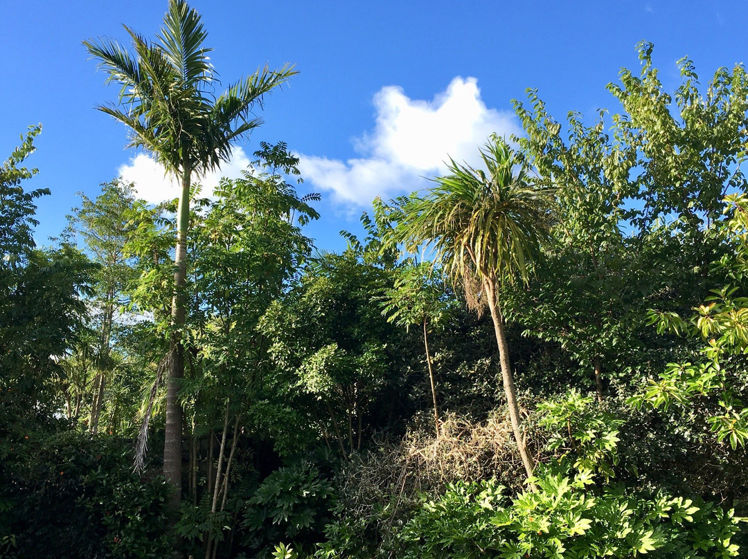 考利公园汽车旅馆主图