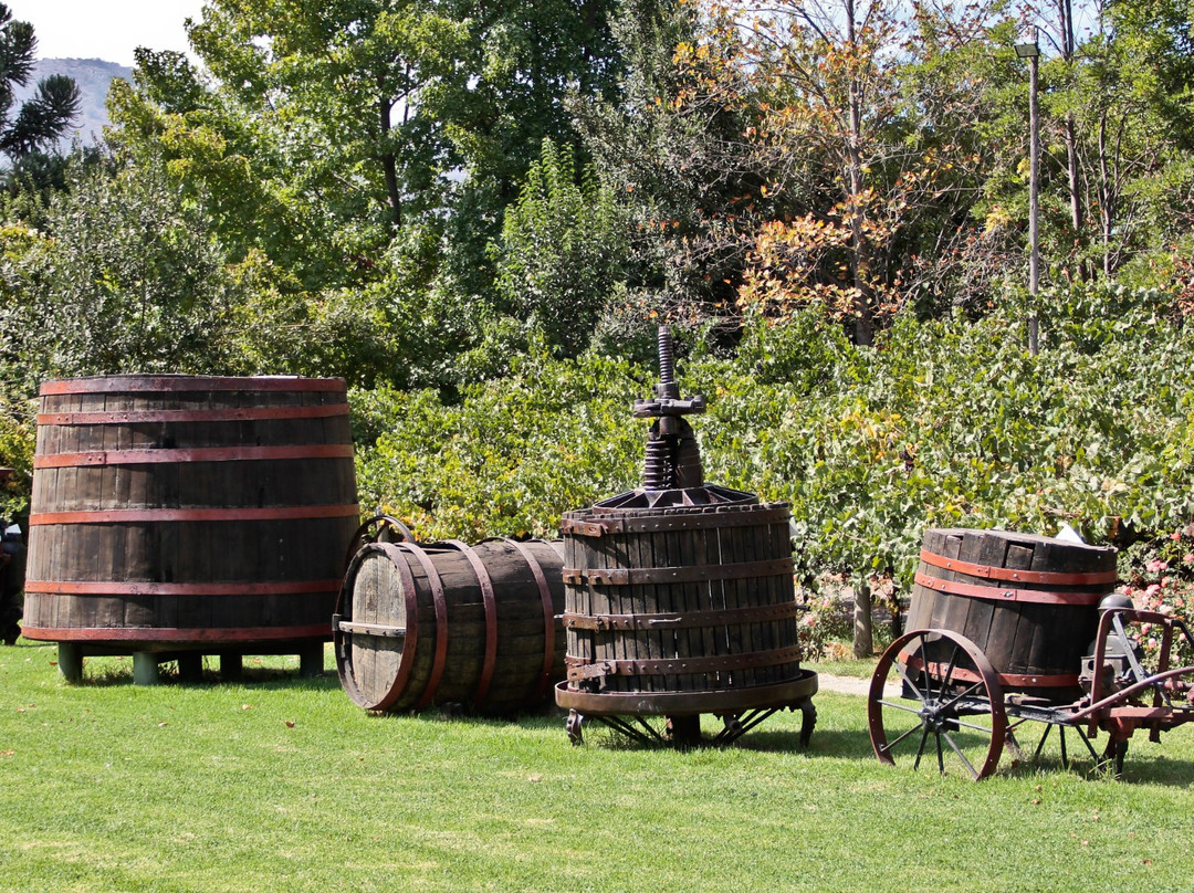 Portal del Alto Vineyard景点图片