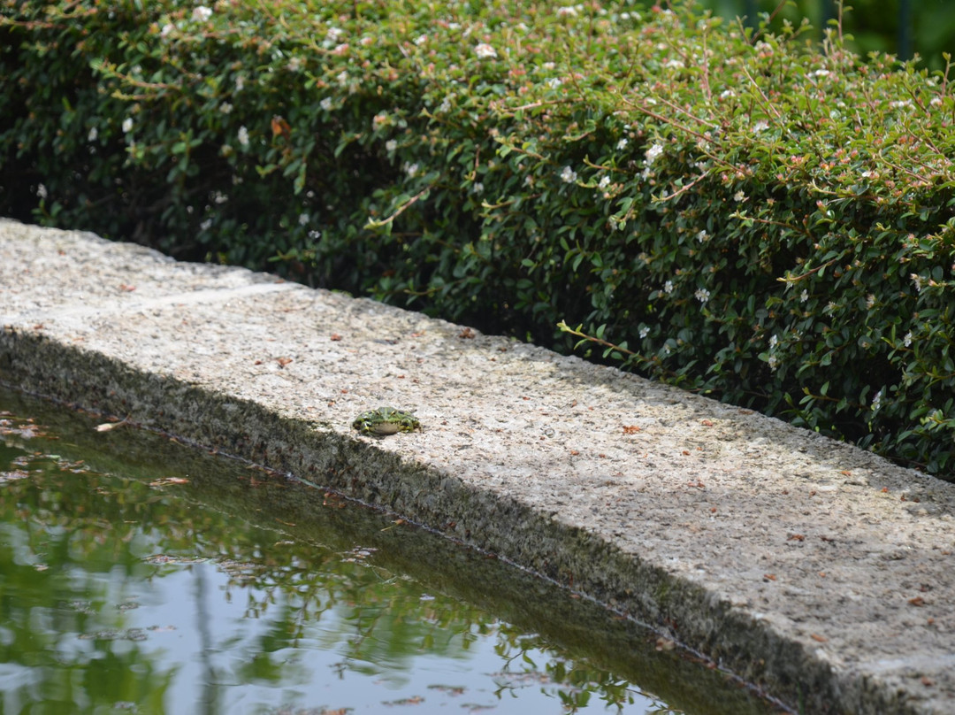 Quinta da Eira do Sol主图