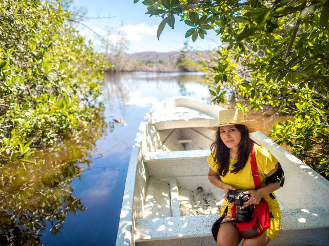 Cabañas Ventanilla主图