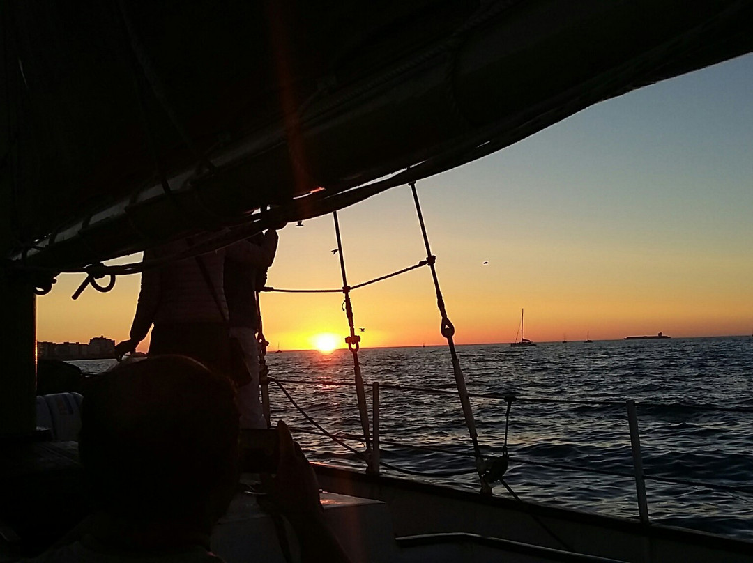 Waterfront Adventures-开普敦中心区必去景点