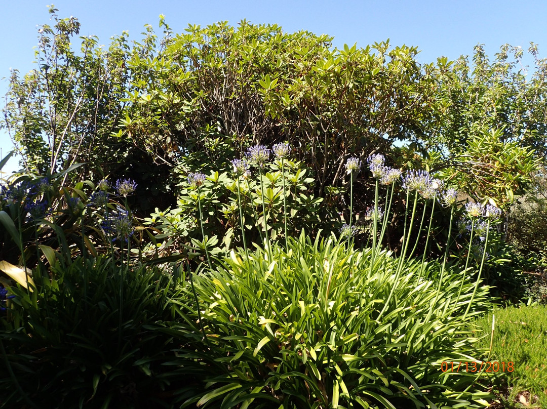 Otakaro Park景点图片