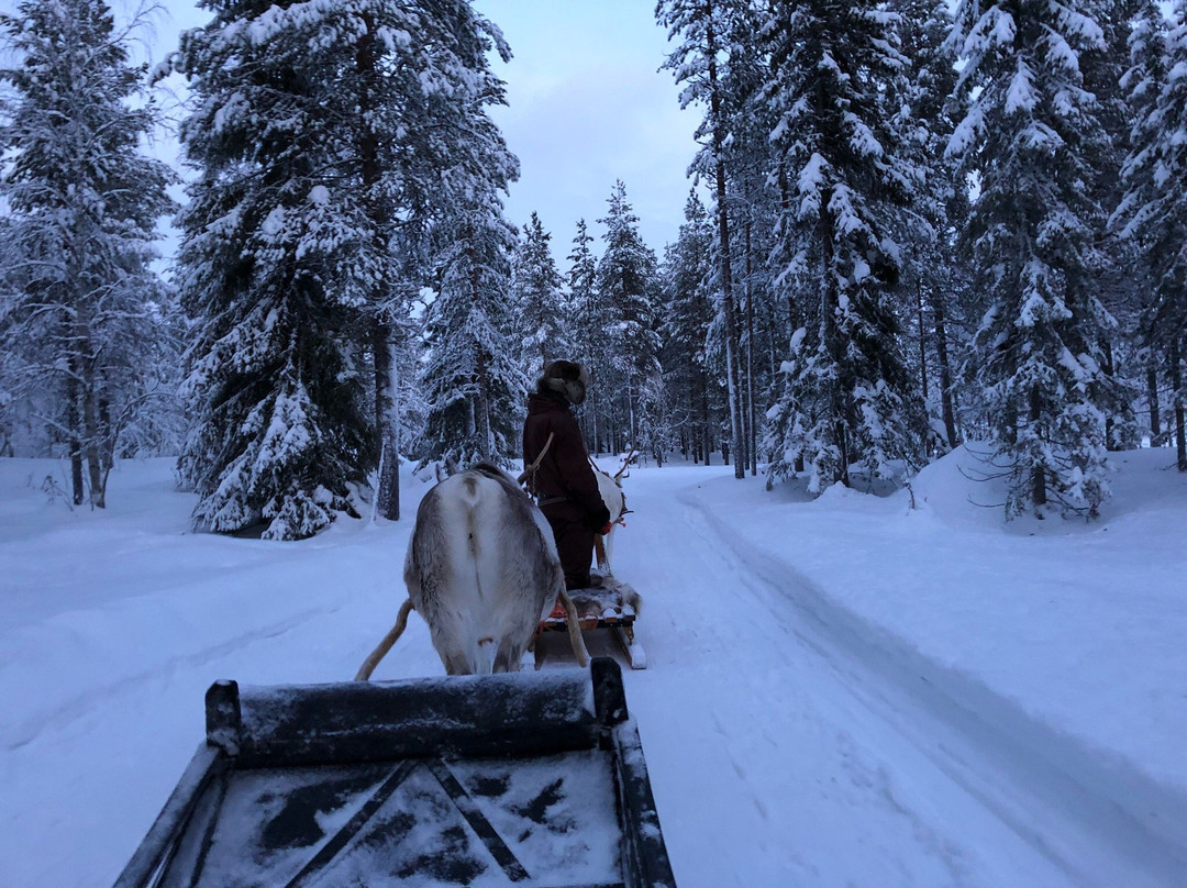 Arctic Horizons-Luosto必去景点