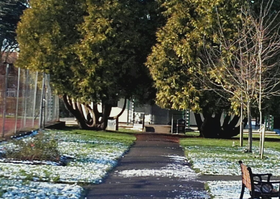 Spencer Park景点图片
