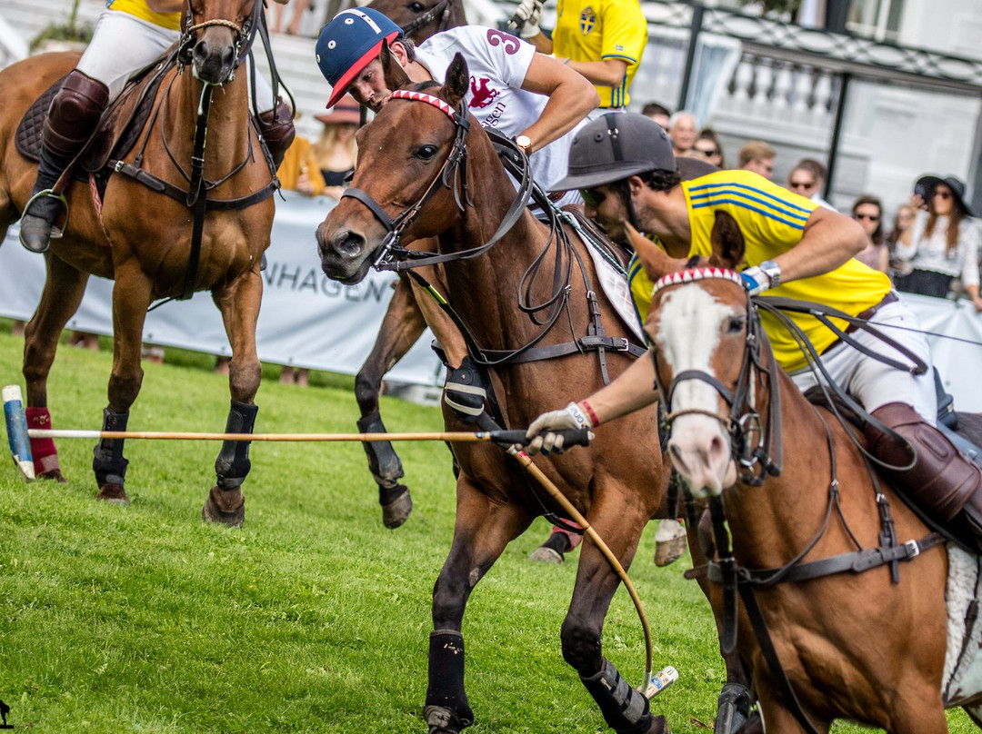Copenhagen Polo Club景点图片