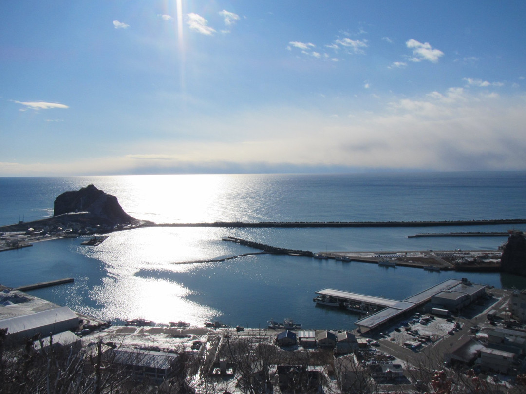 Kannonyama Park-样似町必去景点