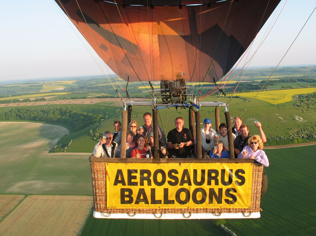 Aerosaurus Balloons景点图片