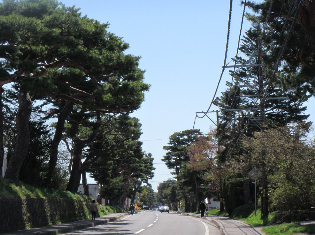 Akamatsu Highway-七饭町必去景点