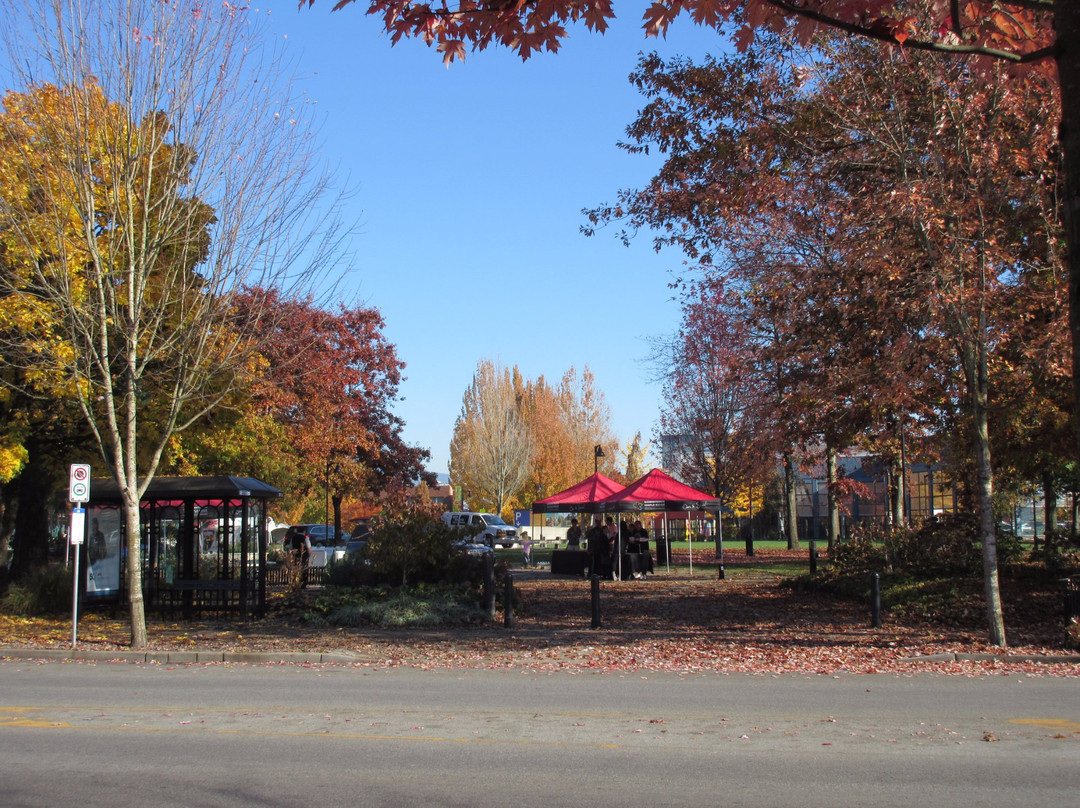 Memorial Peace Park-枫树岭必去景点