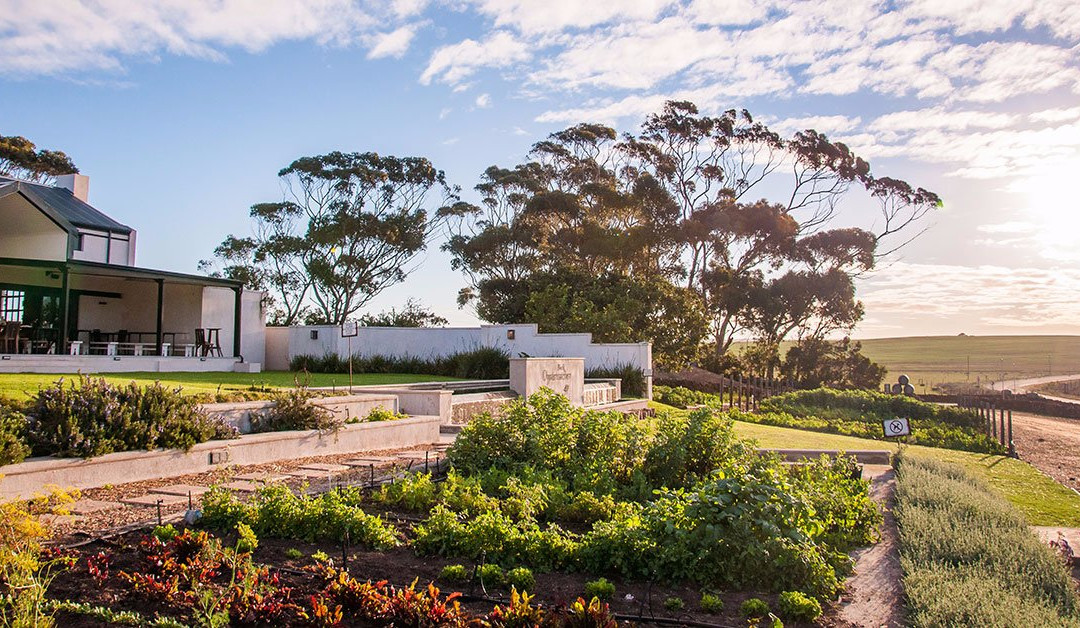 Bredasdorp餐馆和美食-Black Oystercatcher Farm Shop & Platters