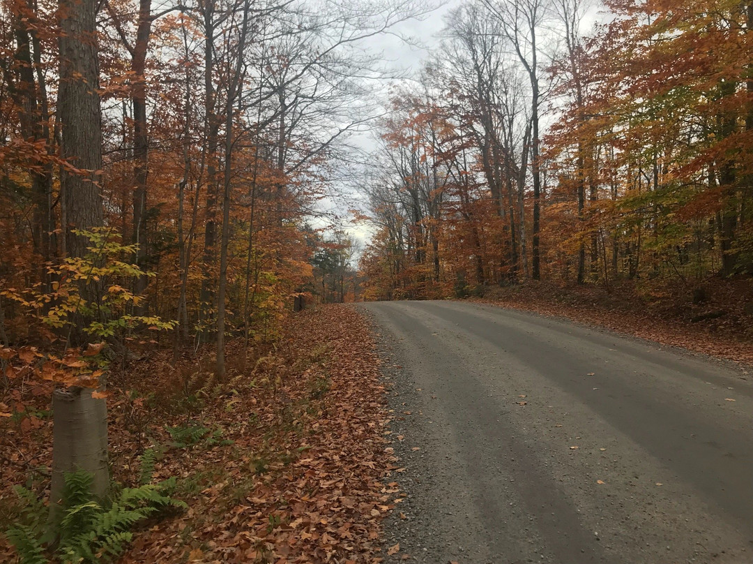 Muskoka Lakes Museum景点图片