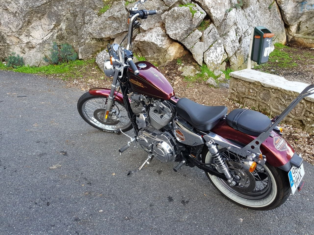 Marcus Motorbikes景点图片