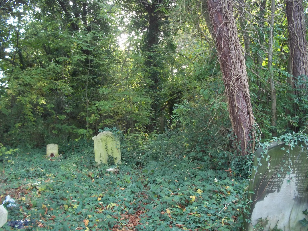 St Pancras and Islington Cemetery-巴尼特必去景点