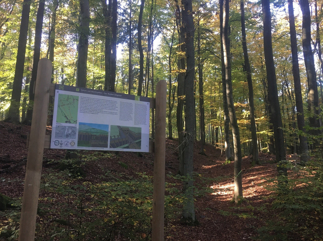 Celtic Trail at the Heidetränk Oppidum-Oberursel (Taunus)必去景点