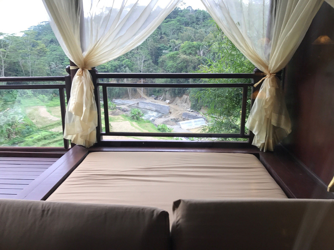 巴龙蝴蝶度假村主图