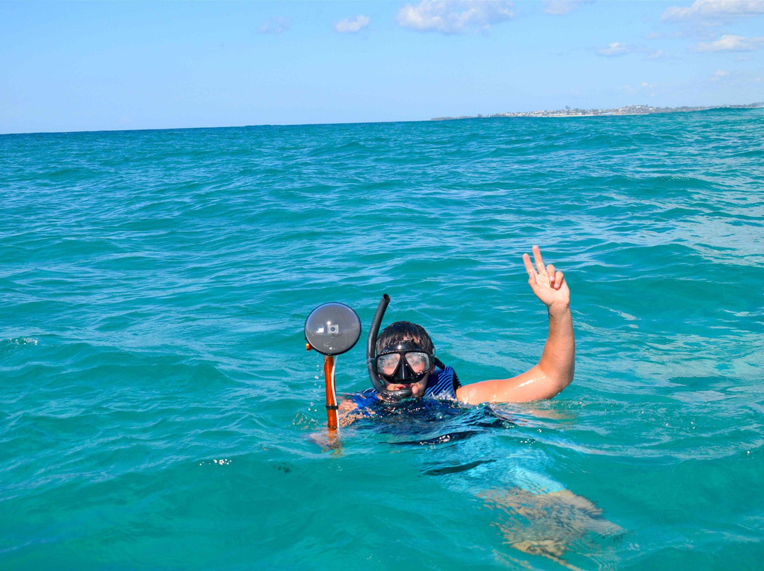 Seaway Water Bike Tours-黄金海岸必去景点