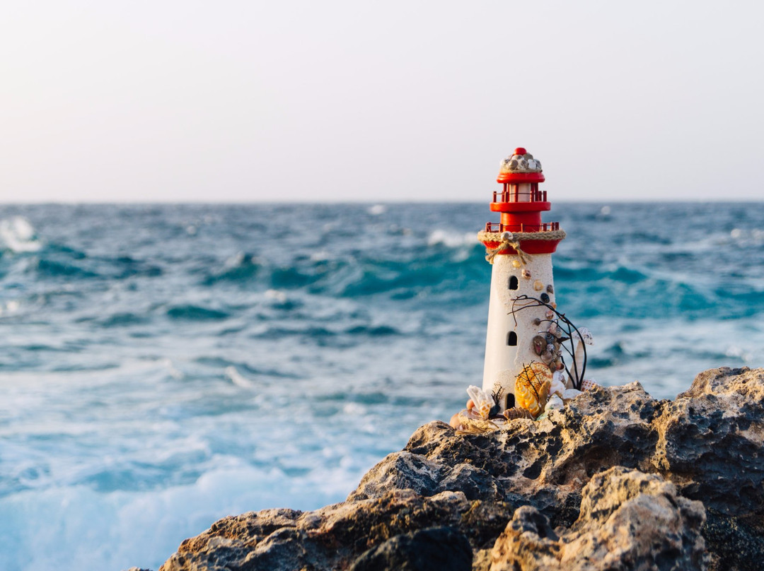 Purely Aruban Artwork-Noord必去景点