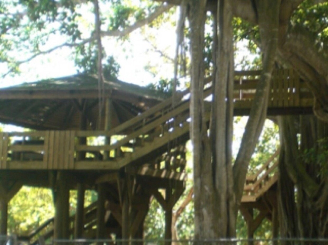 Colon Park-Aguadilla必去景点