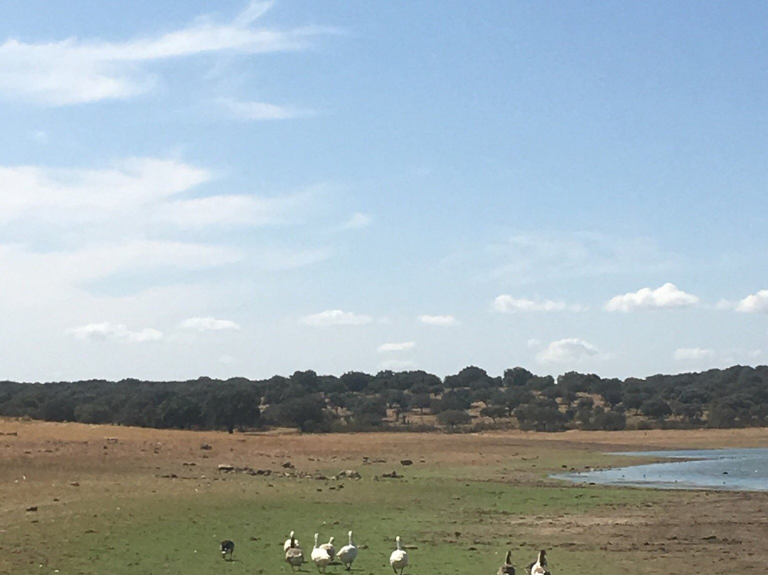 Presa Romana de Cornalvo景点图片