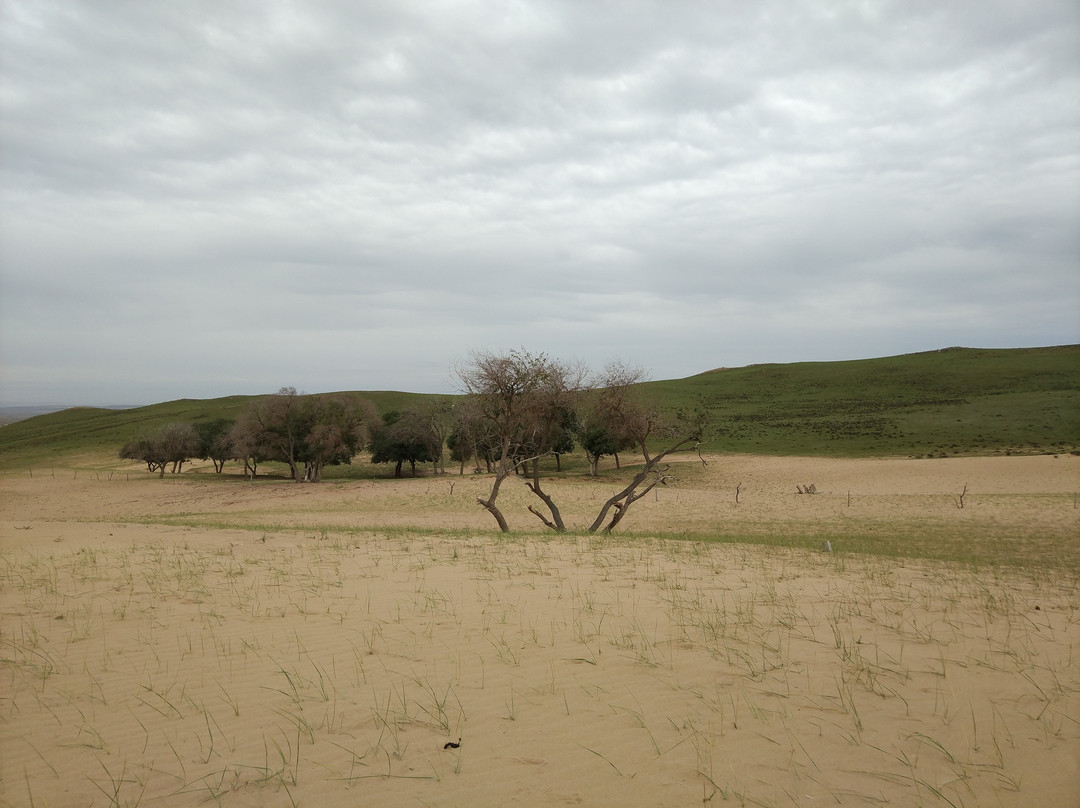 金莲川草原-正蓝旗必去景点