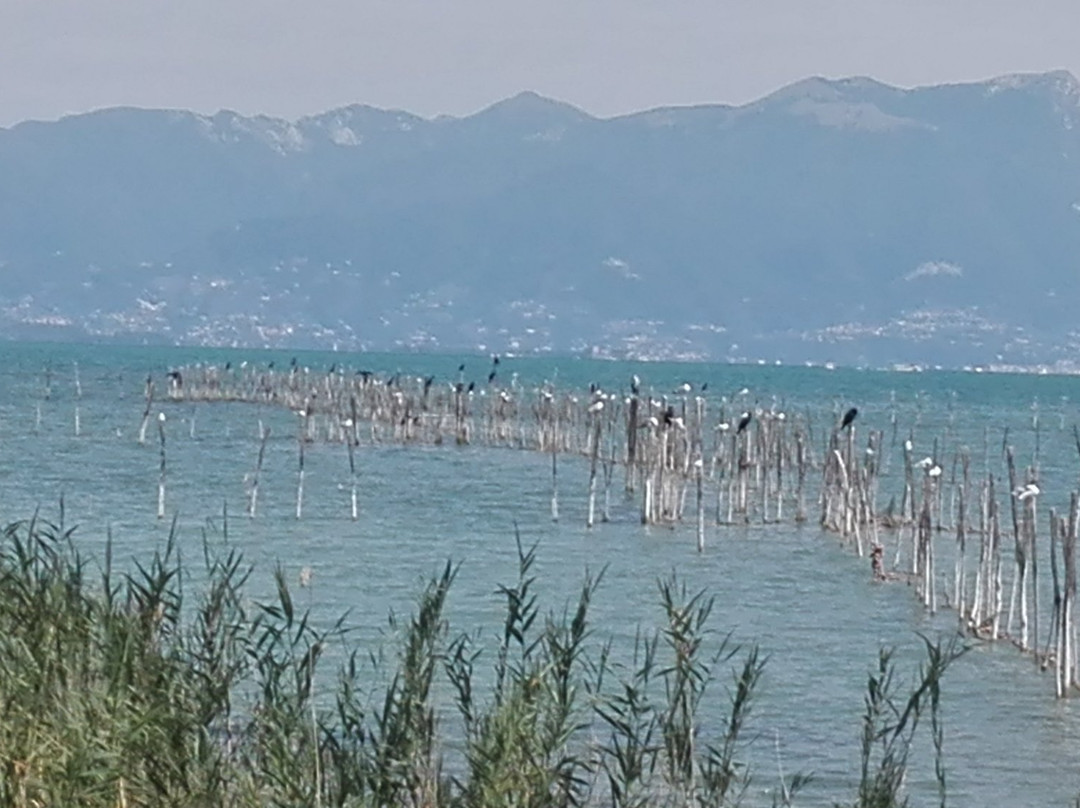 Spiaggia Punta Grò景点图片