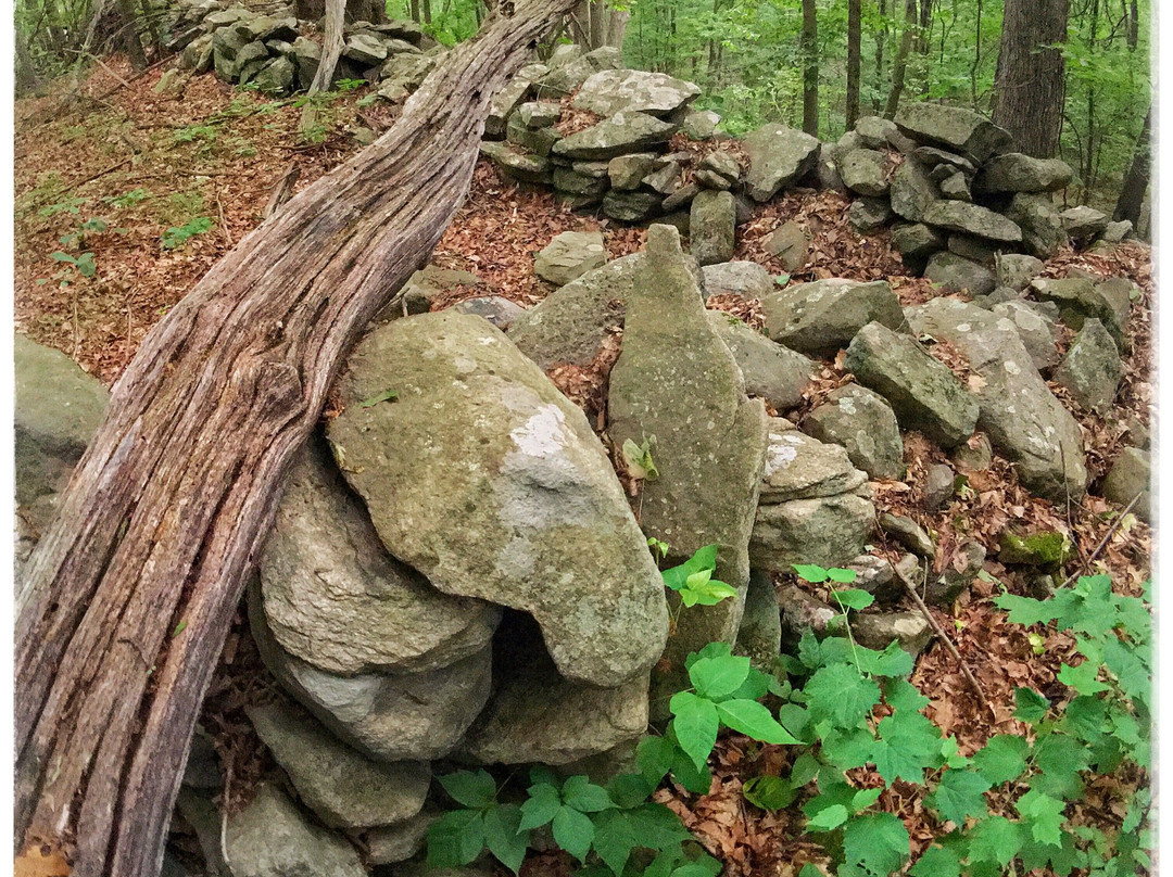 Nimham Mountain State Forest景点图片