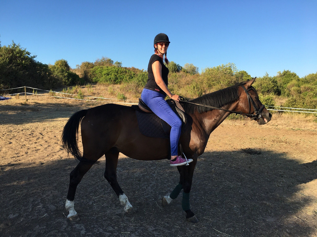 Horse Riding Zadar-扎达尔必去景点
