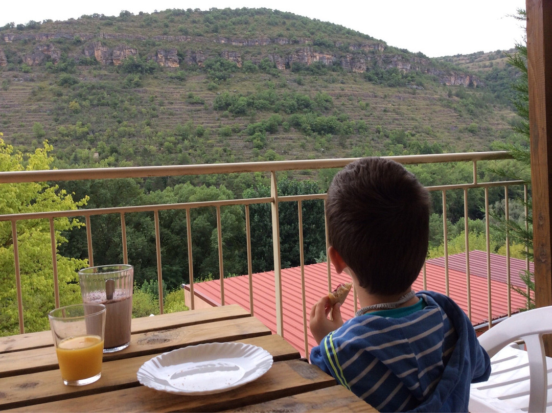 Saint-Rome-de-Tarn旅游攻略图片