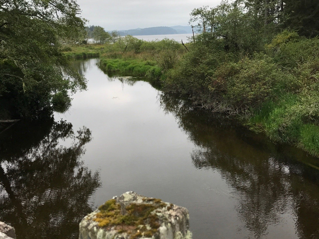 Ozette Lake景点图片