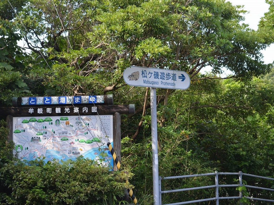 Mollusco Mugi-牟岐町必去景点