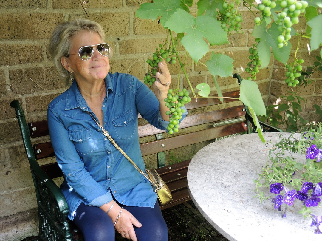 Pieterskerk Utrecht uit 1039-乌特勒支必去景点