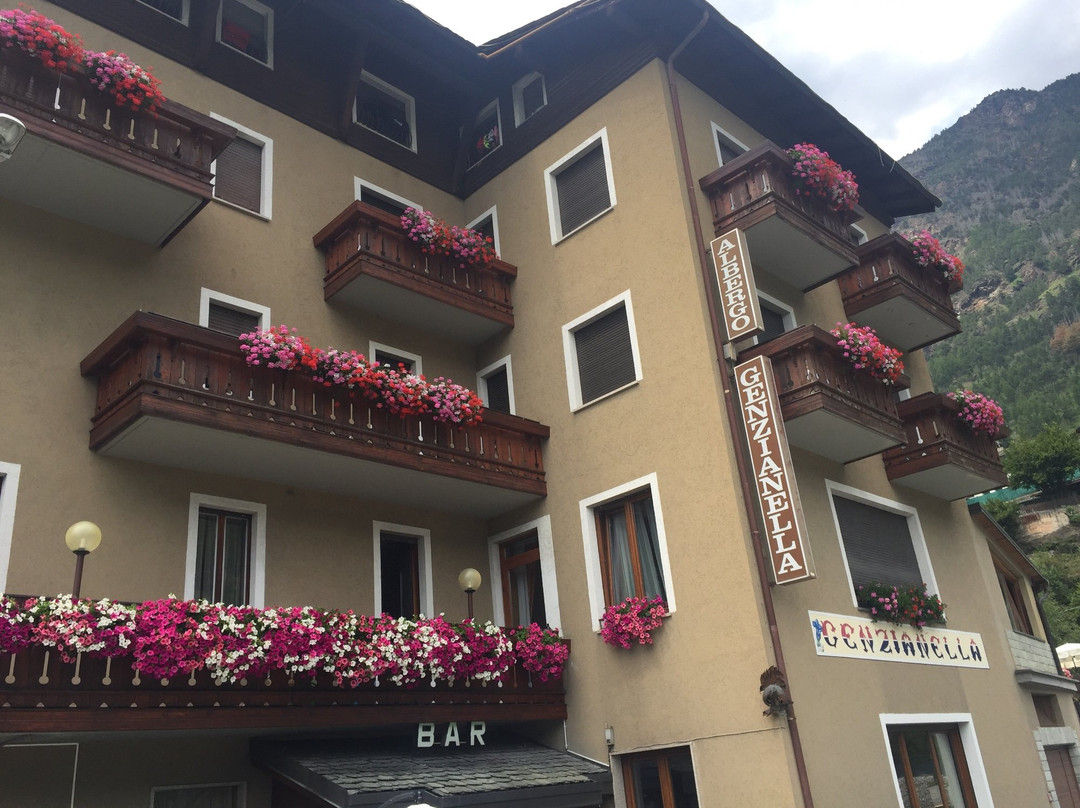 Hotel Genzianella主图