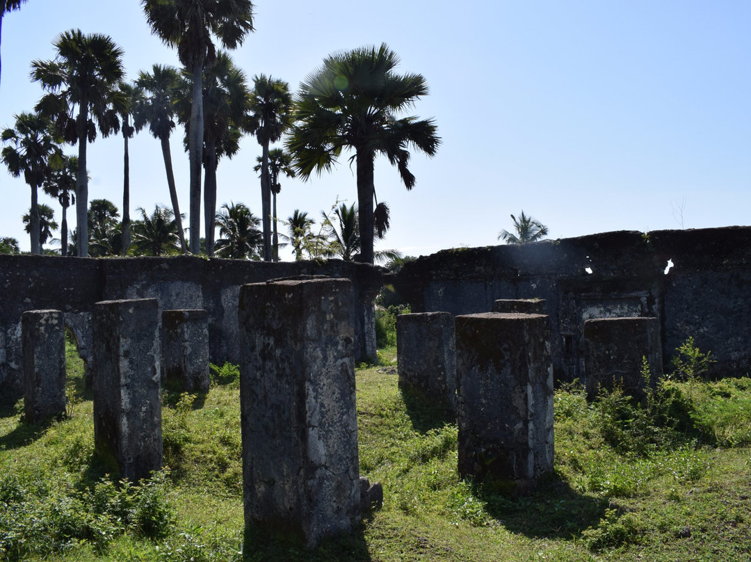 Ndagoni Ruins at Ras Mkumbuu-奔巴岛必去景点