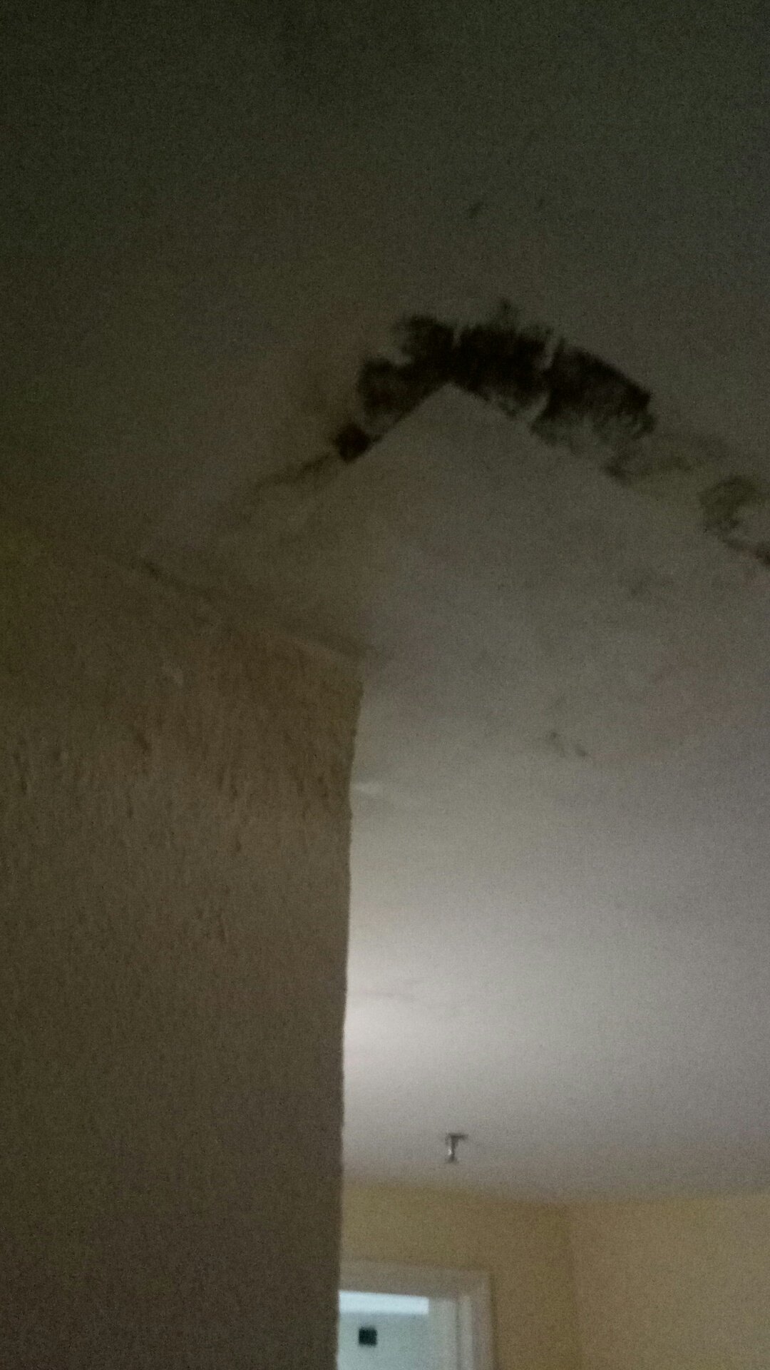 金凤凰粤海海景酒店-官方