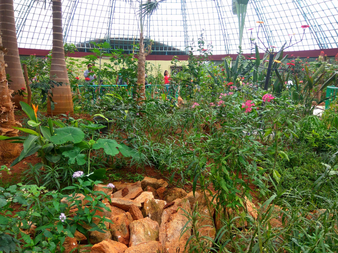 Butterfly Park-班加罗尔必去景点