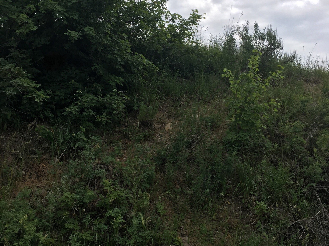 Mountain Mayhem Adventure Rental-Lava Hot Springs必去景点