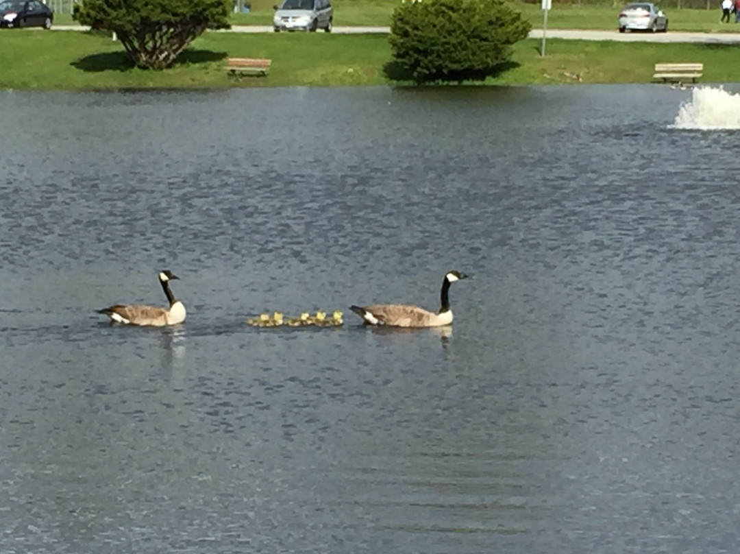 Heritage Park-East Longmeadow必去景点