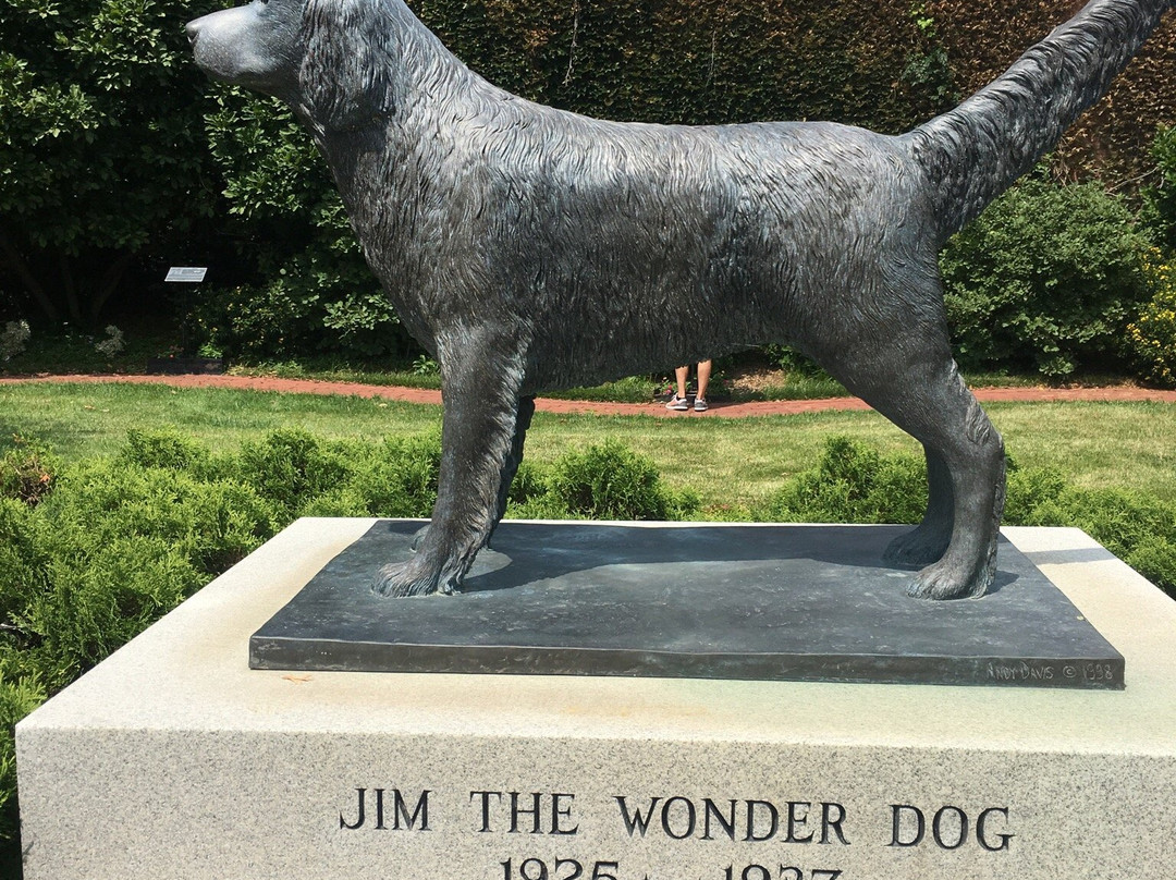 Wonder Dog Memorial Garden景点图片