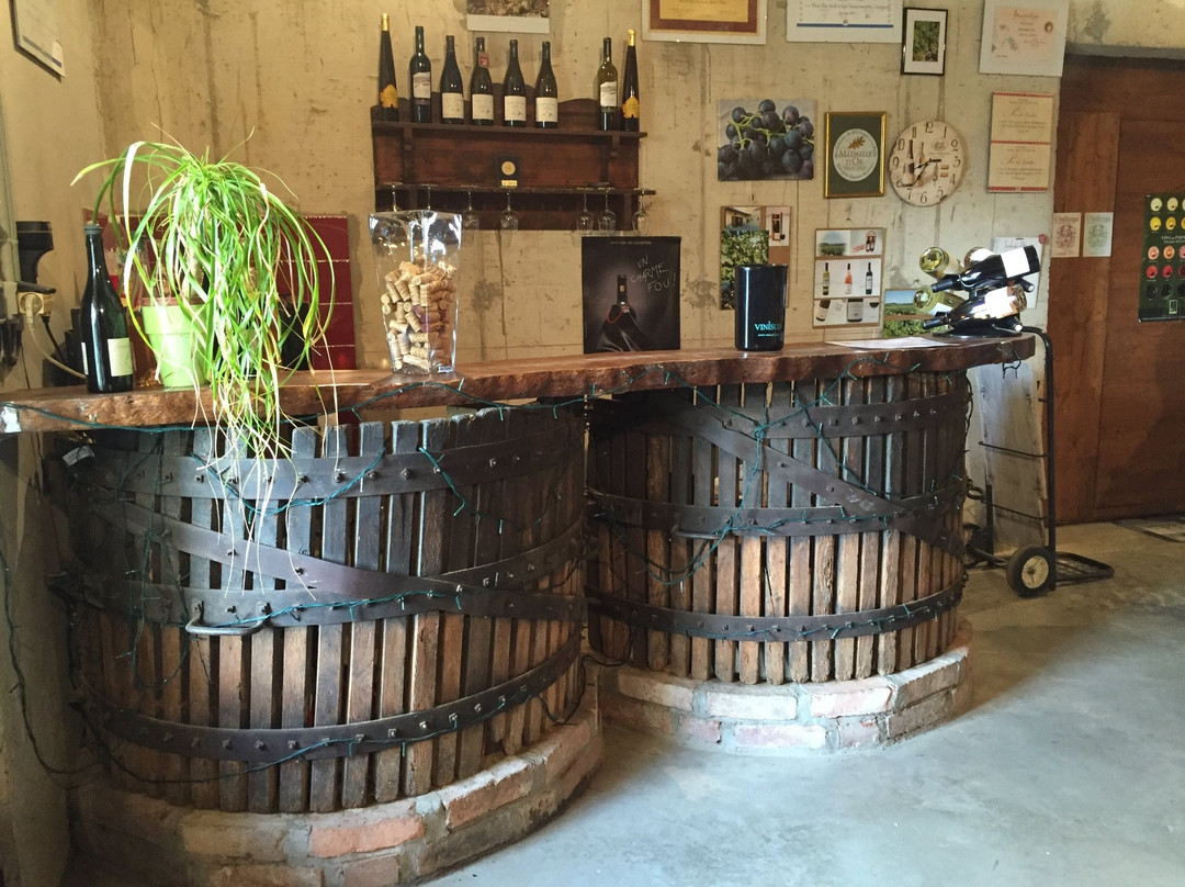 Domaine de Camp-Galhan景点图片