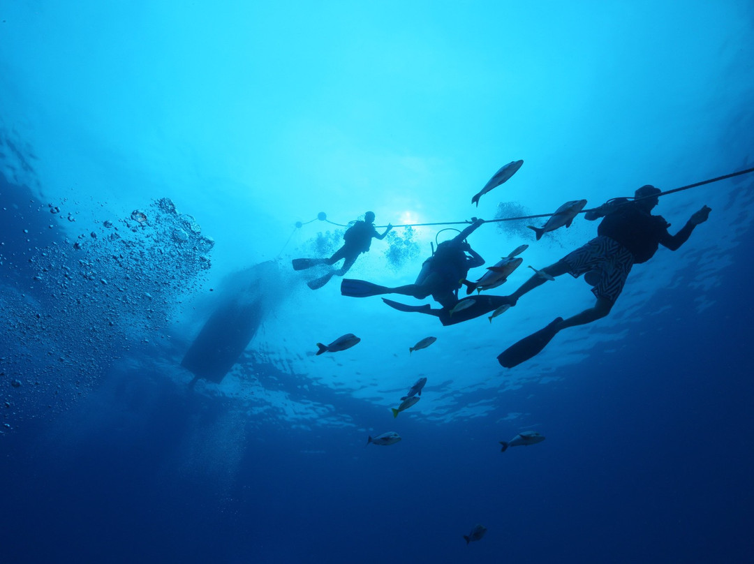 Scubapiti-莫雷阿岛必去景点