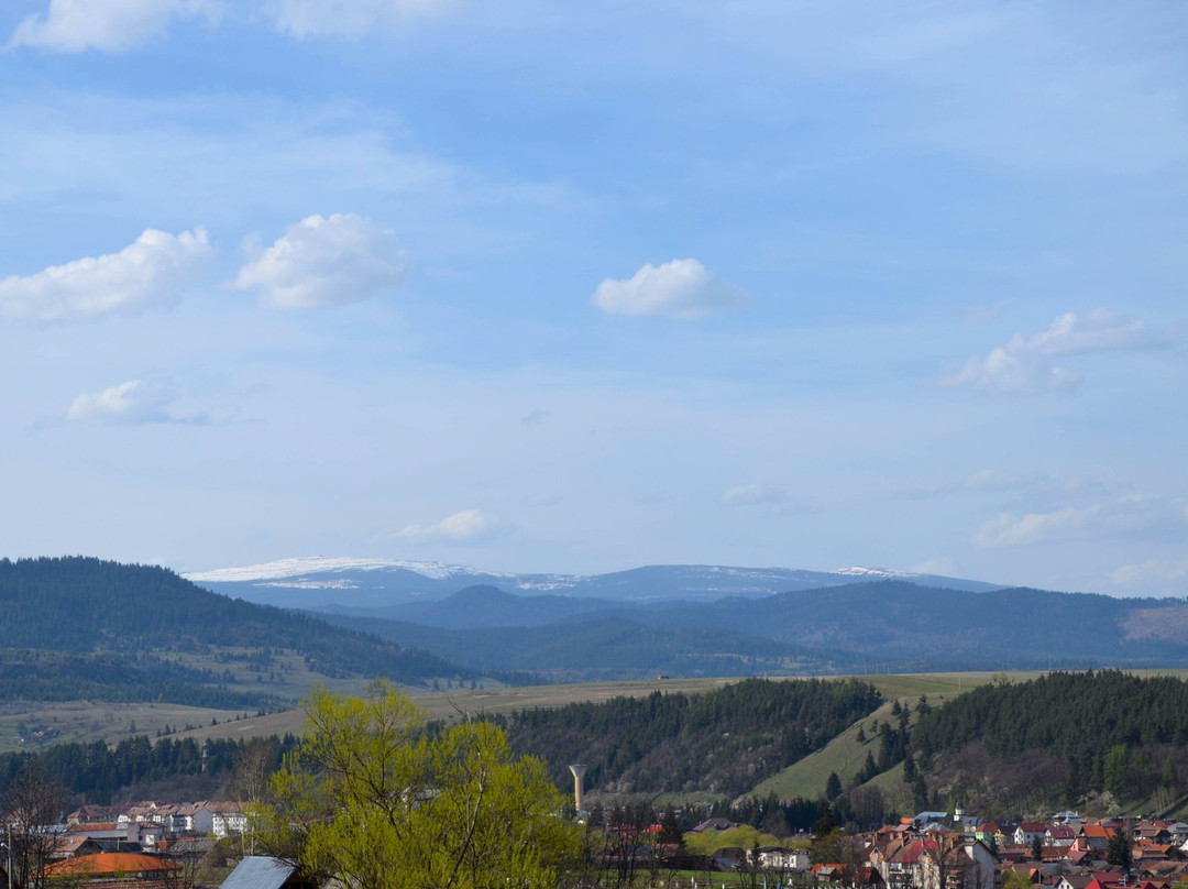 Pensiunea Banffy主图