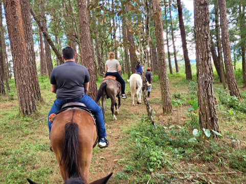 Finca Las Huacas-波魁特必去景点