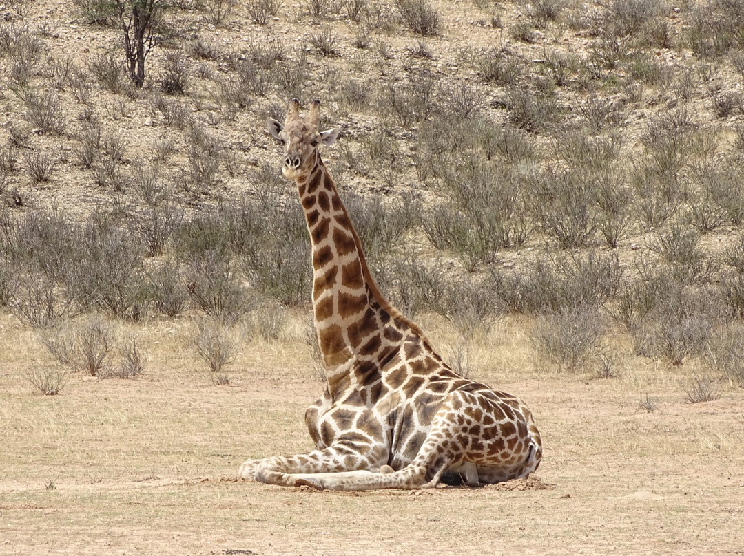 北开普省旅游景点-卡拉嘎地跨界公园