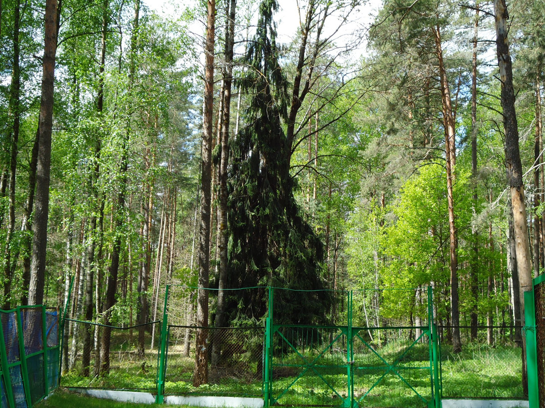 Orlovskoye Polesye National Park景点图片