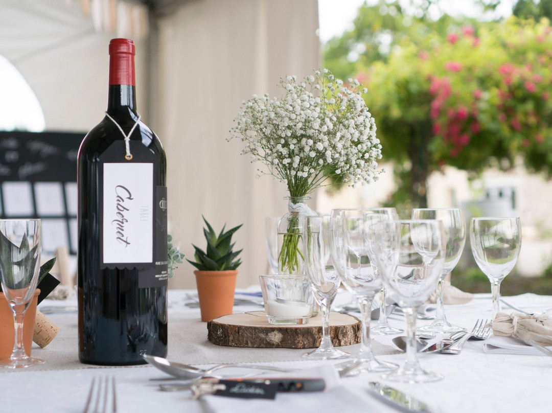 Domaine du Grand Mayne景点图片