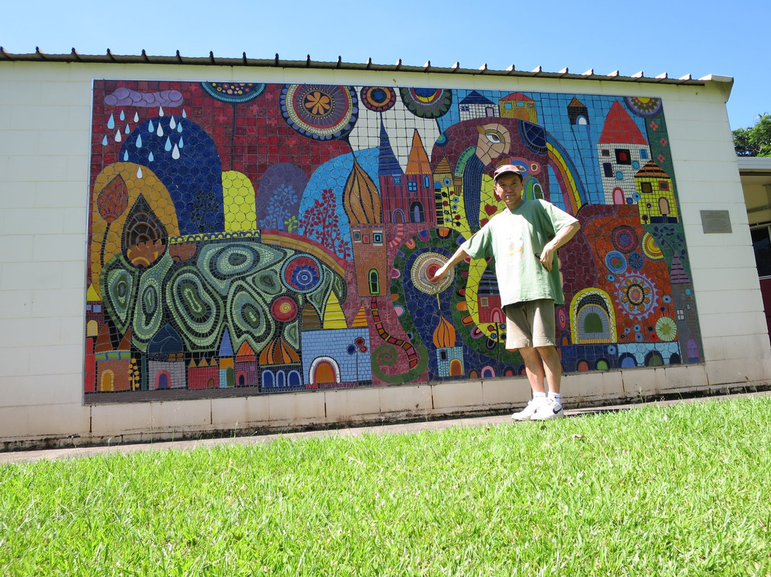 Tactile Arts-达尔文市必去景点