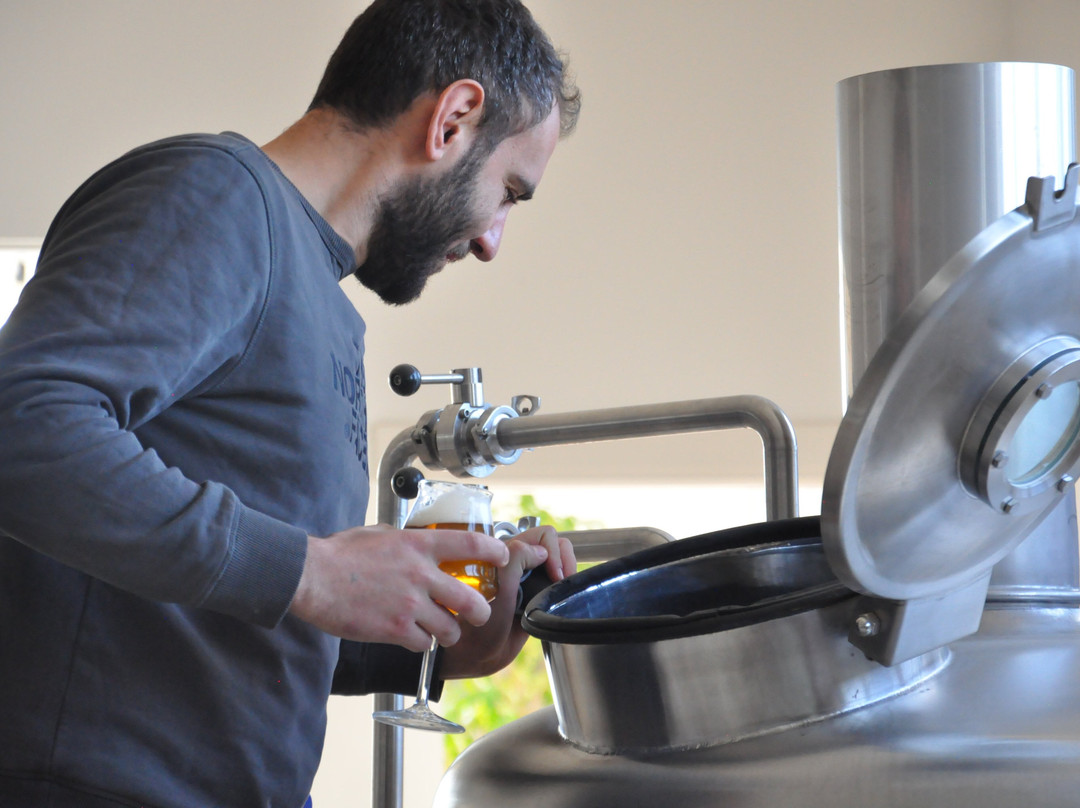 Birrificio Artigianale "I Peuceti"景点图片