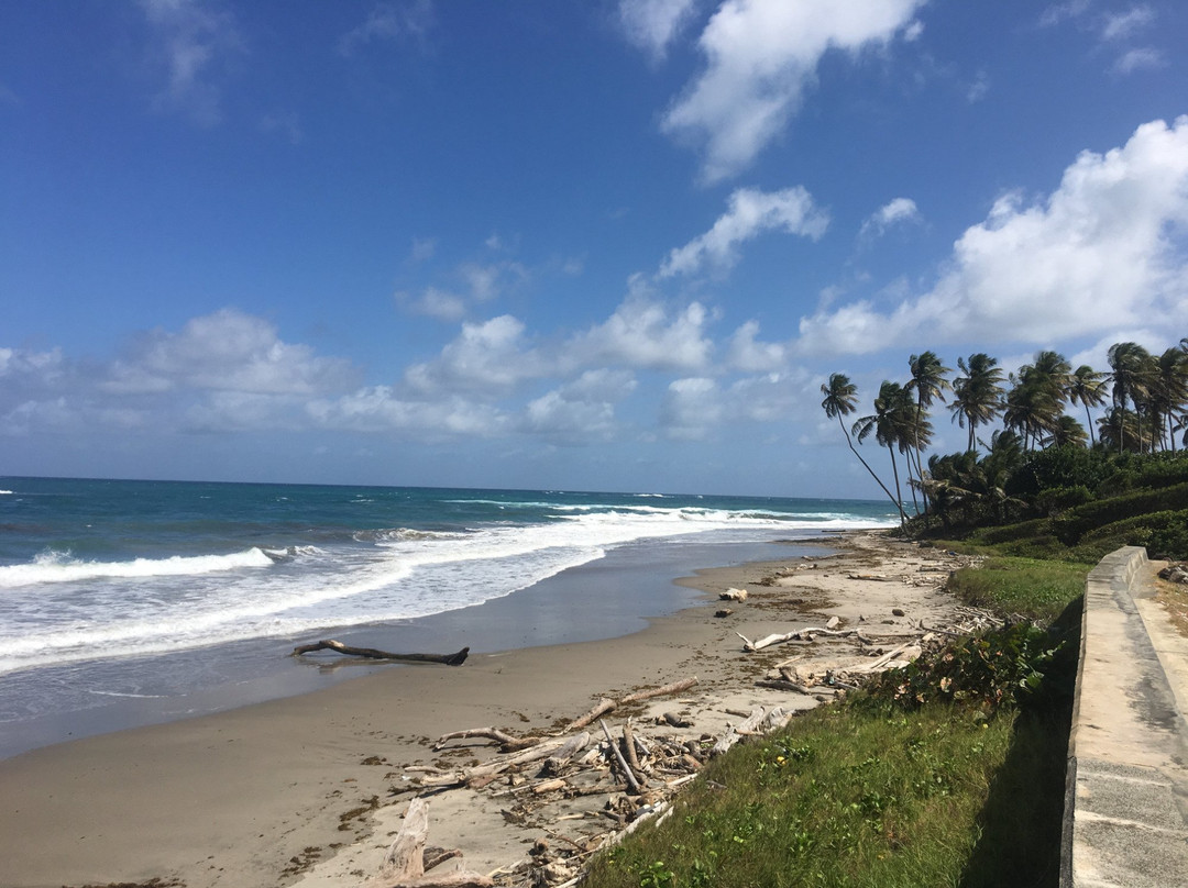 AJ Meddy Taxi & Tours Service-St. George's必去景点