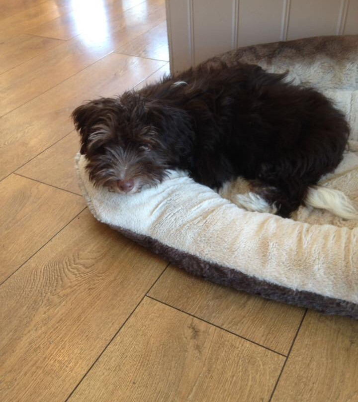 East Guldeford旅游攻略图片